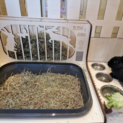 Ratelier / litière personnalisable - Télé Lapins