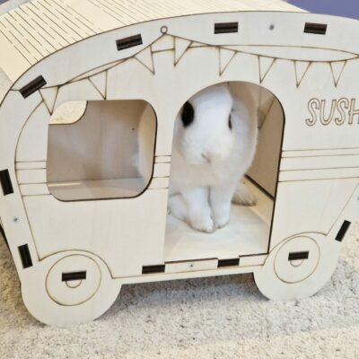 Abris lapin personnalisable - Caravan